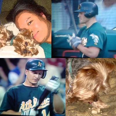 during the game shots