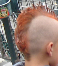 little boy with orange mohawk