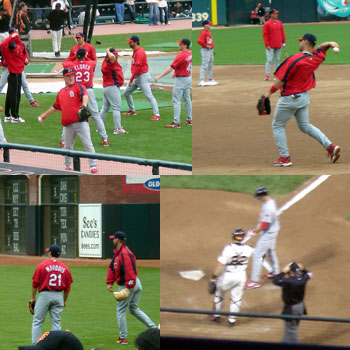 Cardinals